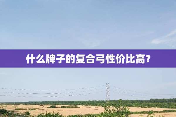 什么牌子的复合弓性价比高？