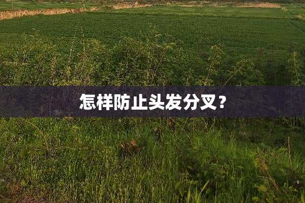 怎样防止头发分叉？