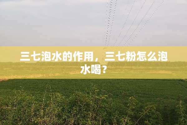三七泡水的作用，三七粉怎么泡水喝？
