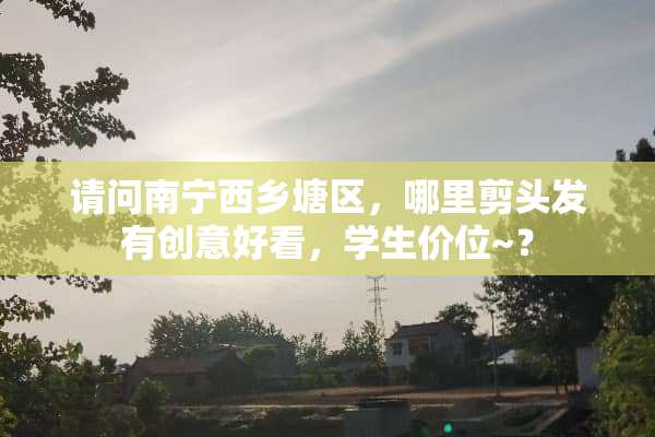 请问南宁西乡塘区，哪里剪头发有创意好看，学生价位~？