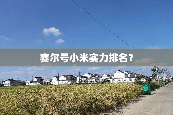赛尔号小米实力排名？