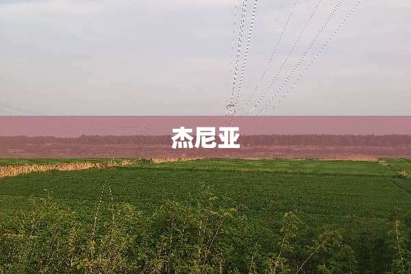 杰尼亚