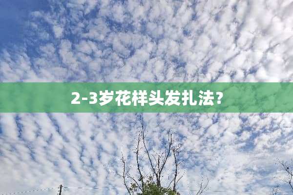 2-3岁花样头发扎法？