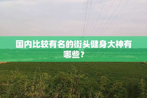 国内比较有名的街头健身大神有哪些？