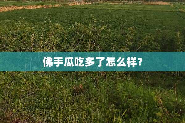 佛手瓜吃多了怎么样？