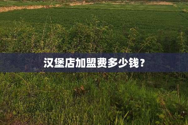 汉堡店加盟费多少钱？
