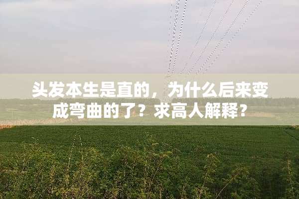 头发本生是直的，为什么后来变成弯曲的了？求高人解释？
