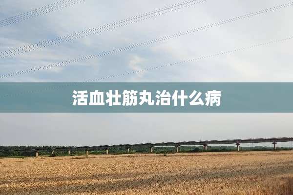 活血壮筋丸治什么病