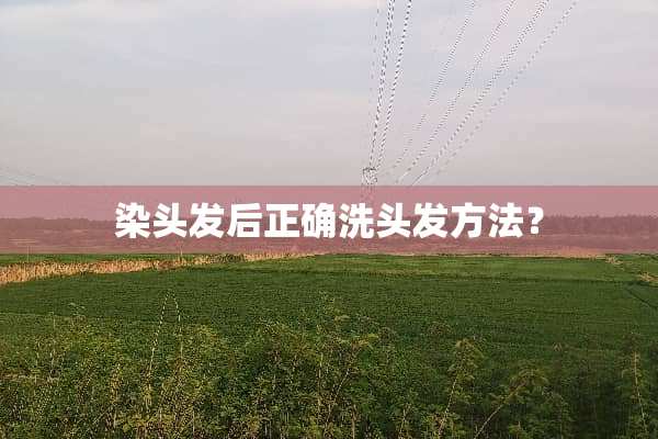 染头发后正确洗头发方法？