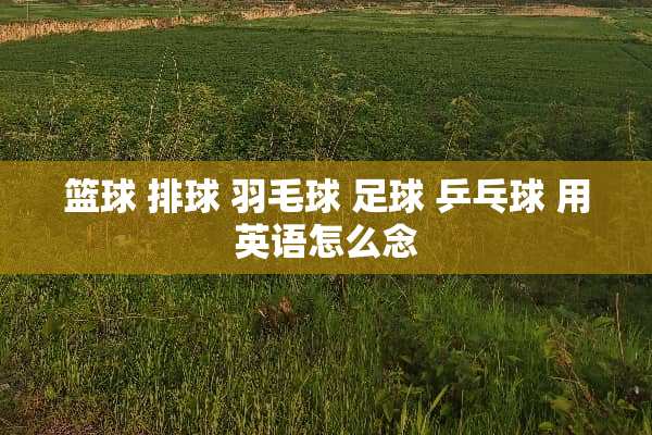 篮球 排球 羽毛球 ** 乒乓球 用英语怎么念