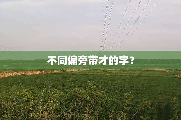 不同偏旁带才的字？