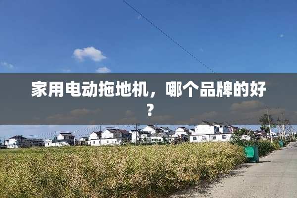 家用电动拖地机，哪个品牌的好？