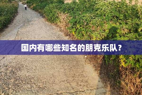 国内有哪些知名的朋克乐队？