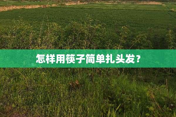 怎样用筷子简单扎头发？