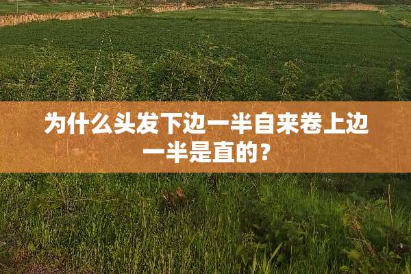 为什么头发下边一半自来卷上边一半是直的？