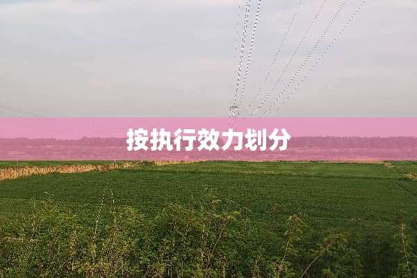 按执行效力划分