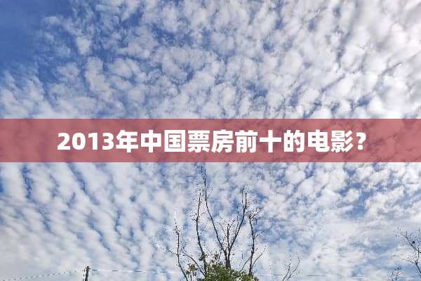 2013年中国票房前十的电影？