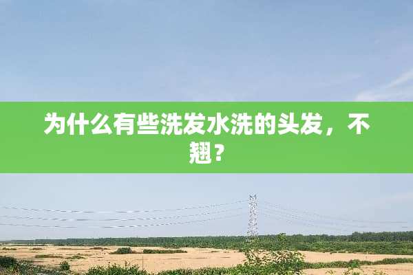 为什么有些洗发水洗的头发，不翘？