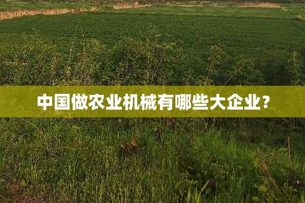 中国做农业机械有哪些大企业？