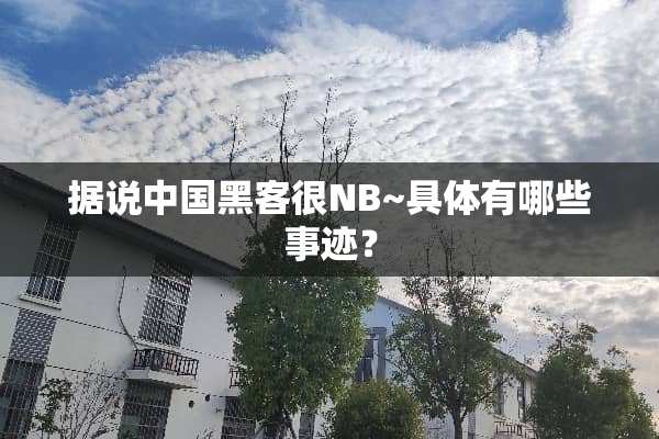据说中国黑客很NB~具体有哪些事迹？