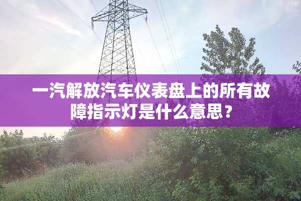 一汽解放汽车仪表盘上的所有故障指示灯是什么意思？