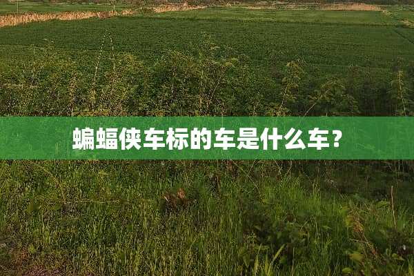 蝙蝠侠车标的车是什么车？