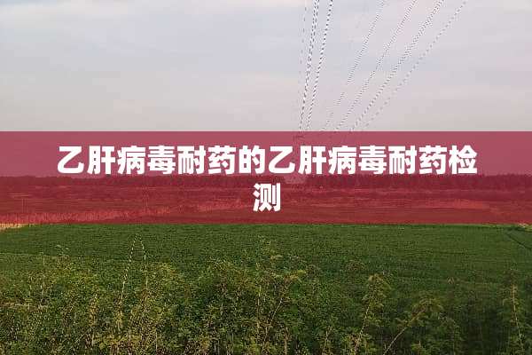 乙肝**耐药的乙肝**耐药检测