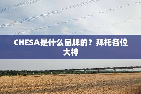 CHESA是什么品牌的？拜托各位大神