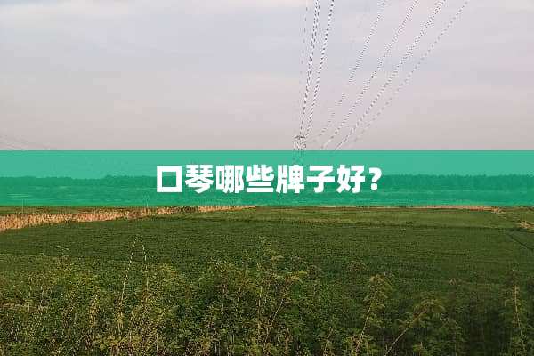 口琴哪些牌子好？