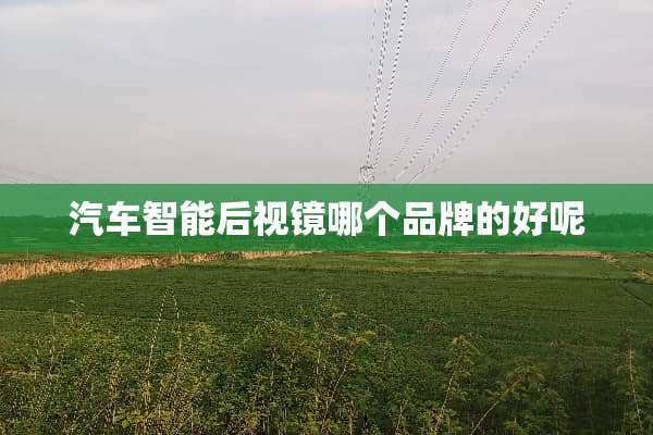 汽车智能后视镜哪个品牌的好呢