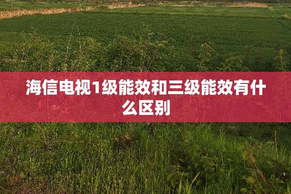 海信电视1级能效和**能效有什么区别