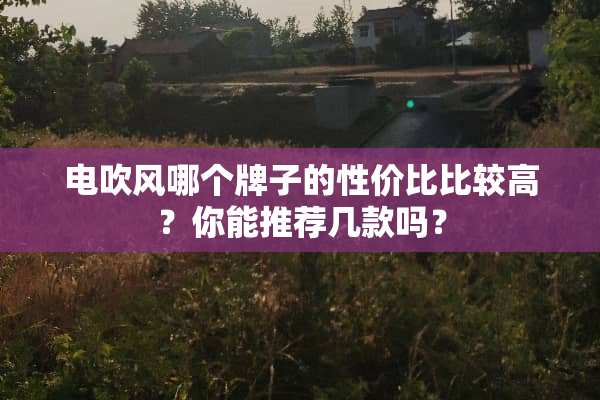 电吹风哪个牌子的性价比比较高？你能推荐几款吗？