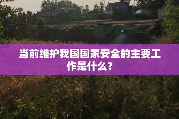 当前维护我国国家安全的主要工作是什么？