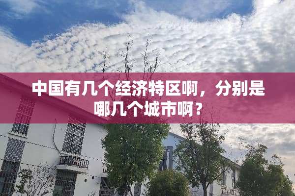 中国有几个经济特区啊，分别是哪几个城市啊？