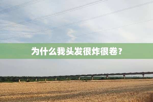 为什么我头发很炸很卷？