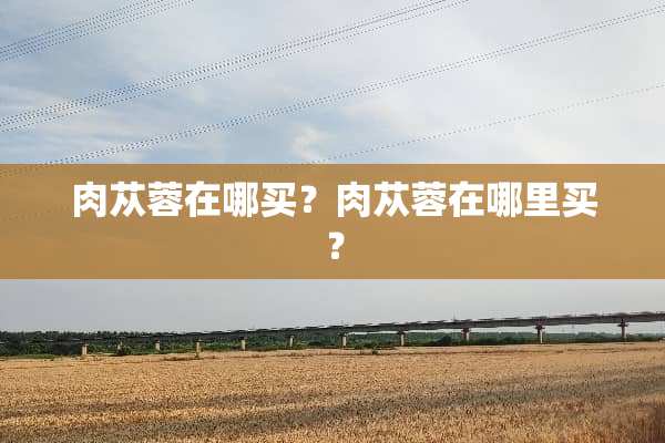 肉苁蓉在哪买？肉苁蓉在哪里买？