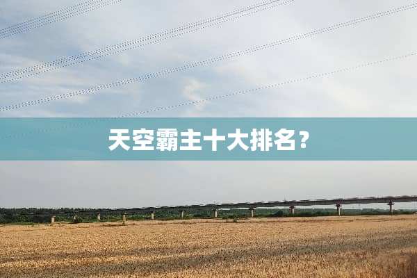 天空霸主十大排名？