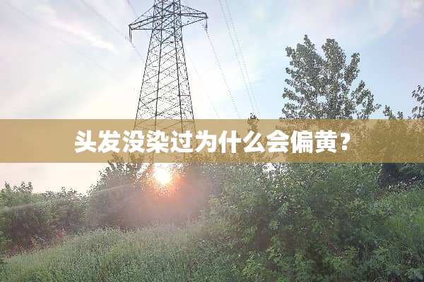 头发没染过为什么会偏黄？