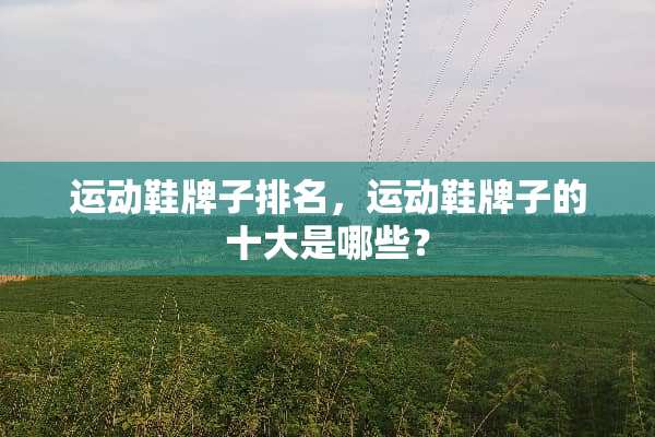 运动鞋牌子排名，运动鞋牌子的十大是哪些？