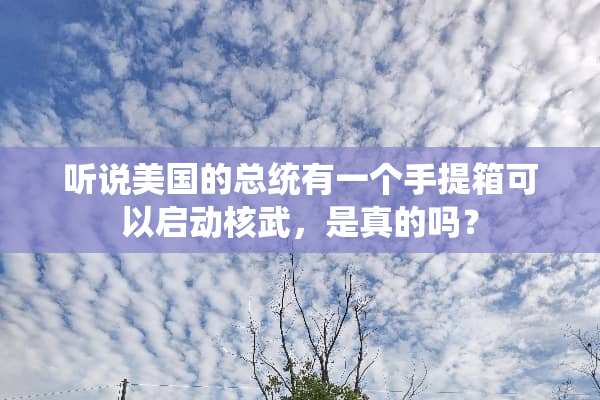 听说美国的总统有一个手提箱可以启动核武，是真的吗？