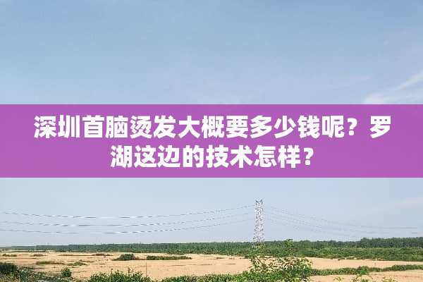 深圳首脑烫发大概要多少钱呢？罗湖这边的技术怎样？