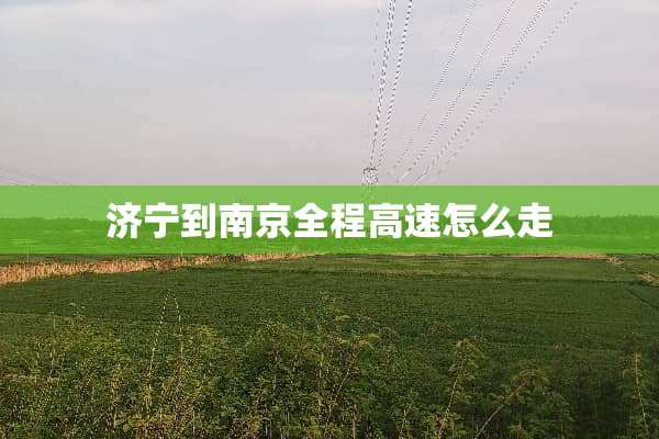 济宁到南京全程高速怎么走