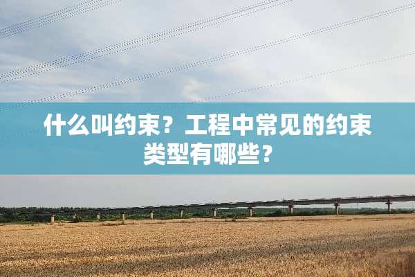 什么叫约束？工程中常见的约束类型有哪些？