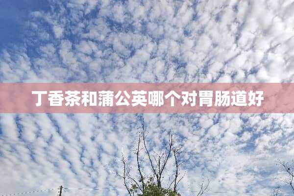 **茶和蒲公英哪个对胃肠道好