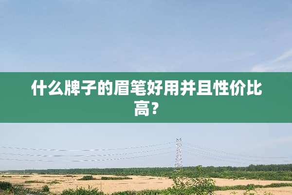 什么牌子的眉笔好用并且性价比高？