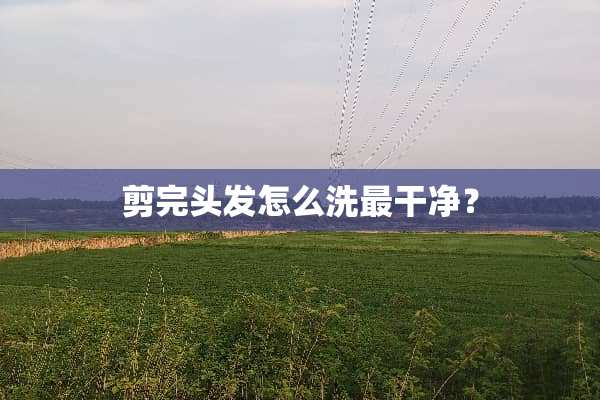 剪完头发怎么洗最干净？