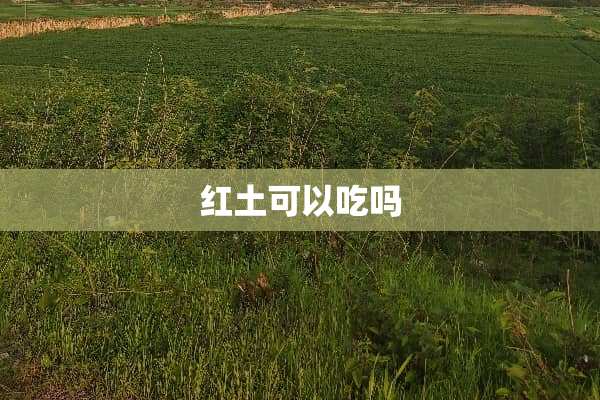 红土可以吃吗