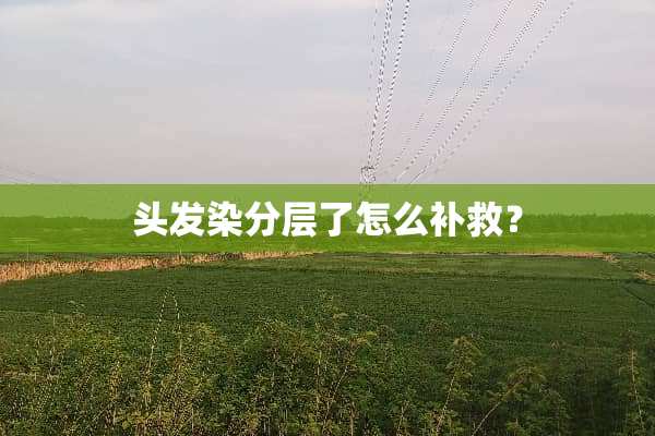 头发染分层了怎么补救？