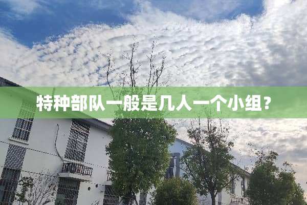 特种**一般是几人一个小组？