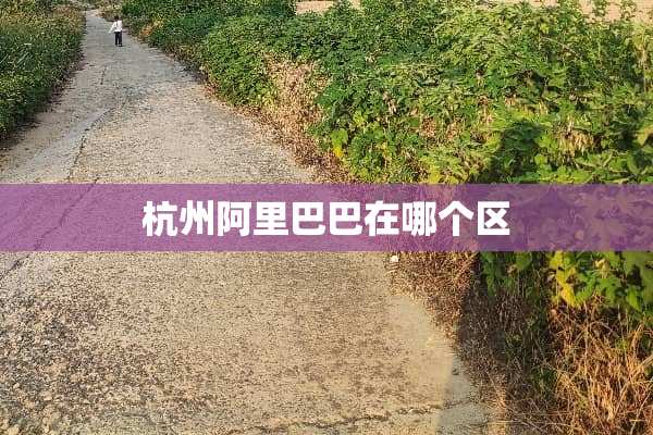 杭州阿里巴巴在哪个区